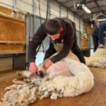 خدمات-پشم-چینی